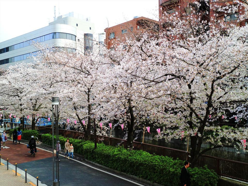 Coto Tokyo Shibuya 2 Apartamento Exterior foto